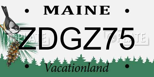 ZDGZ75 Maine License Plate