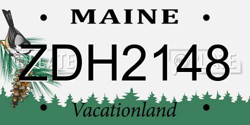 ZDH2148 Maine License Plate