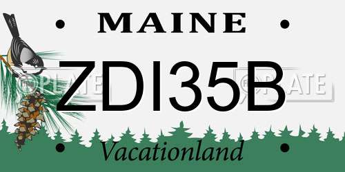 ZDI35B Maine License Plate
