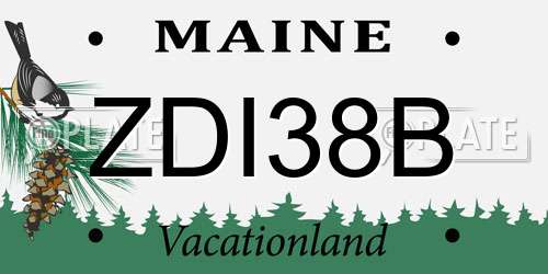 ZDI38B Maine License Plate