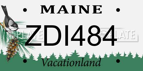 ZDI484 Maine License Plate