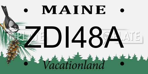 ZDI48A Maine License Plate