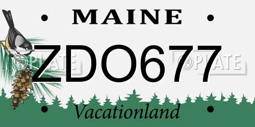 ZDO677 Maine License Plate