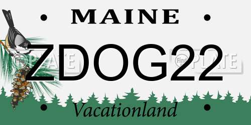 ZDOG22 Maine License Plate