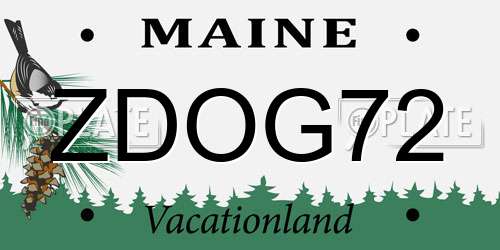 ZDOG72 Maine License Plate