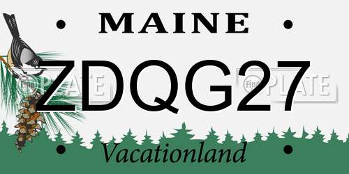 ZDQG27 Maine License Plate