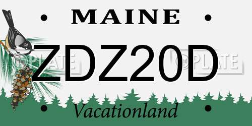ZDZ20D Maine License Plate