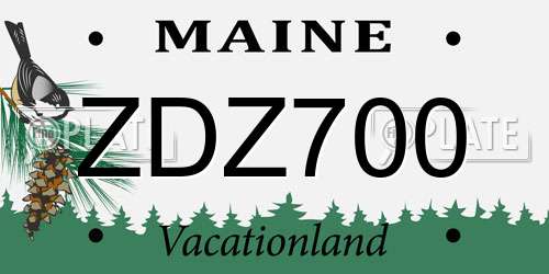 ZDZ700 Maine License Plate
