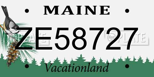 ZE58727 Maine License Plate