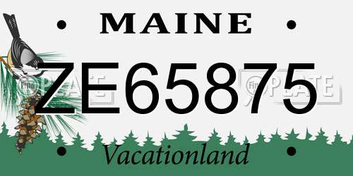ZE65875 Maine License Plate
