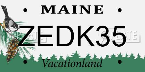 ZEDK35 Maine License Plate