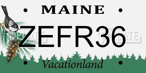 ZEFR36 Maine License Plate