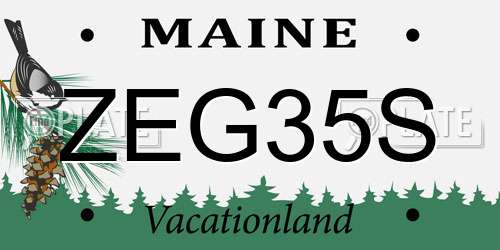 ZEG35S Maine License Plate