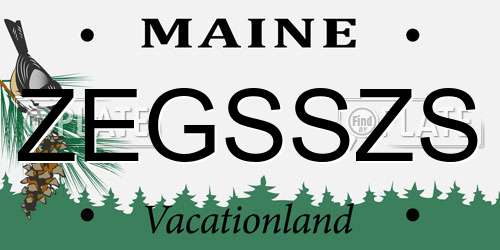 ZEGSSZS Maine License Plate