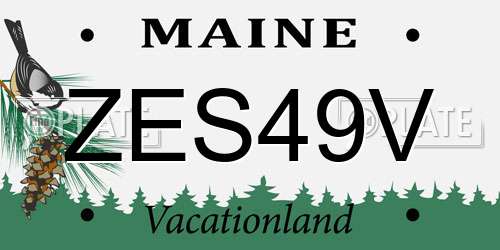ZES49V Maine License Plate
