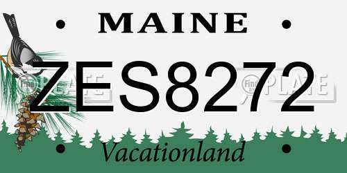 ZES8272 Maine License Plate
