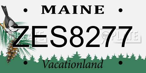 ZES8277 Maine License Plate