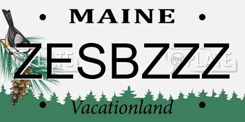 ZESBZZZ Maine License Plate