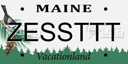 ZESSTTT Maine License Plate