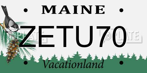 ZETU70 Maine License Plate