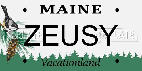 ZEUSY Maine License Plate