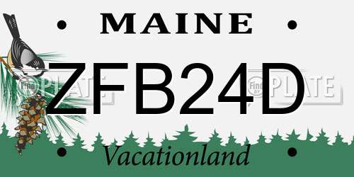 ZFB24D Maine License Plate