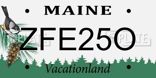 ZFE25O Maine License Plate