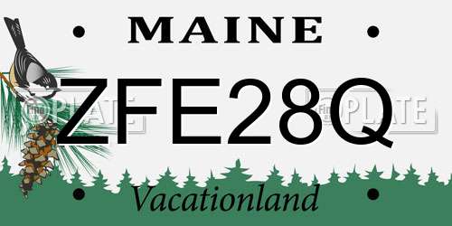 ZFE28Q Maine License Plate