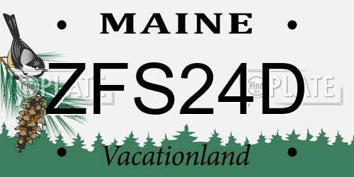 ZFS24D Maine License Plate