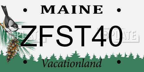 ZFST40 Maine License Plate