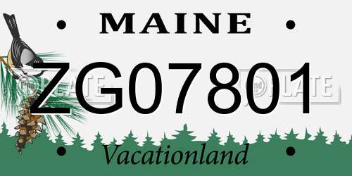 ZG07801 Maine License Plate