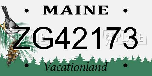 ZG42173 Maine License Plate