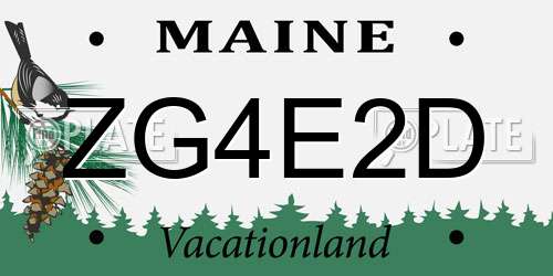 ZG4E2D Maine License Plate