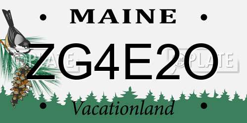 ZG4E2O Maine License Plate