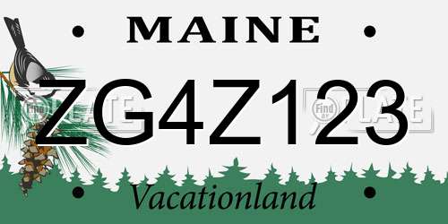 ZG4Z123 Maine License Plate