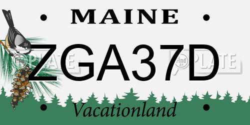 ZGA37D Maine License Plate