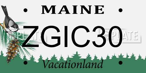 ZGIC30 Maine License Plate