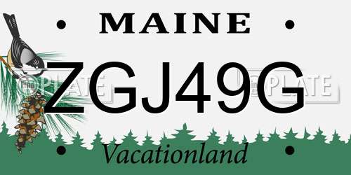 ZGJ49G Maine License Plate