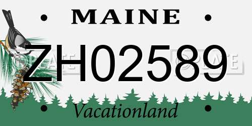 ZH02589 Maine License Plate