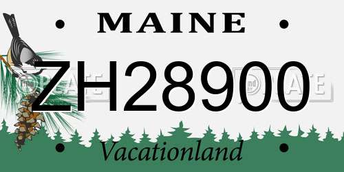 ZH28900 Maine License Plate