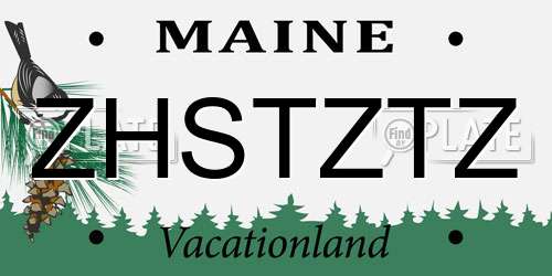 ZHSTZTZ Maine License Plate