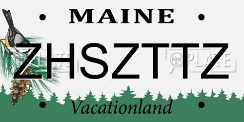 ZHSZTTZ Maine License Plate