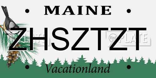 ZHSZTZT Maine License Plate