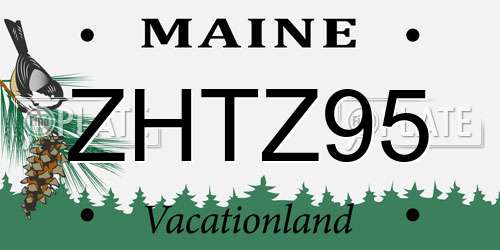 ZHTZ95 Maine License Plate