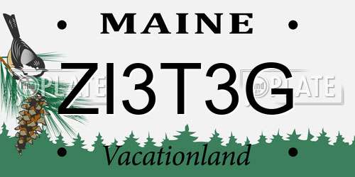 ZI3T3G Maine License Plate