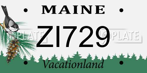 ZI729 Maine License Plate