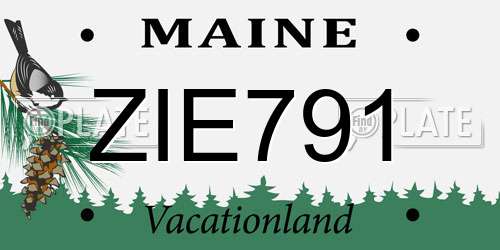 ZIE791 Maine License Plate
