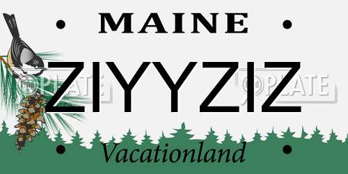 ZIYYZIZ Maine License Plate