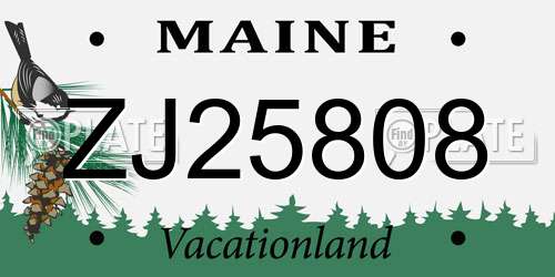 ZJ25808 Maine License Plate