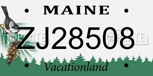 ZJ28508 Maine License Plate